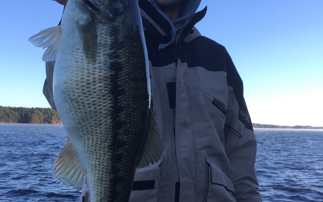 Jimbo’s Lake Lanier Fishing Report: 11/9/2017