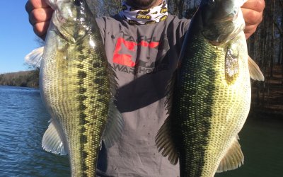 Jimbo’s Lake Lanier Fishing Report: 3/14/2018