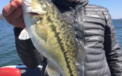 Jimbo’s Lake Lanier Fishing Report: 3/21/2018