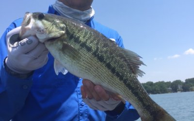 Jimbo’s Lake Lanier Spotted Bass Fishing Report: 5/15/2018