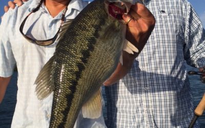Jimbo’s Lake Lanier Bass Fishing Report: 6/6/2018