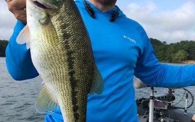 Jimbo’s Lake Lanier Fishing Report: 8/2/2018